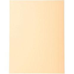 Sorteermap Exacompta 420002E 170 g m zalm A4