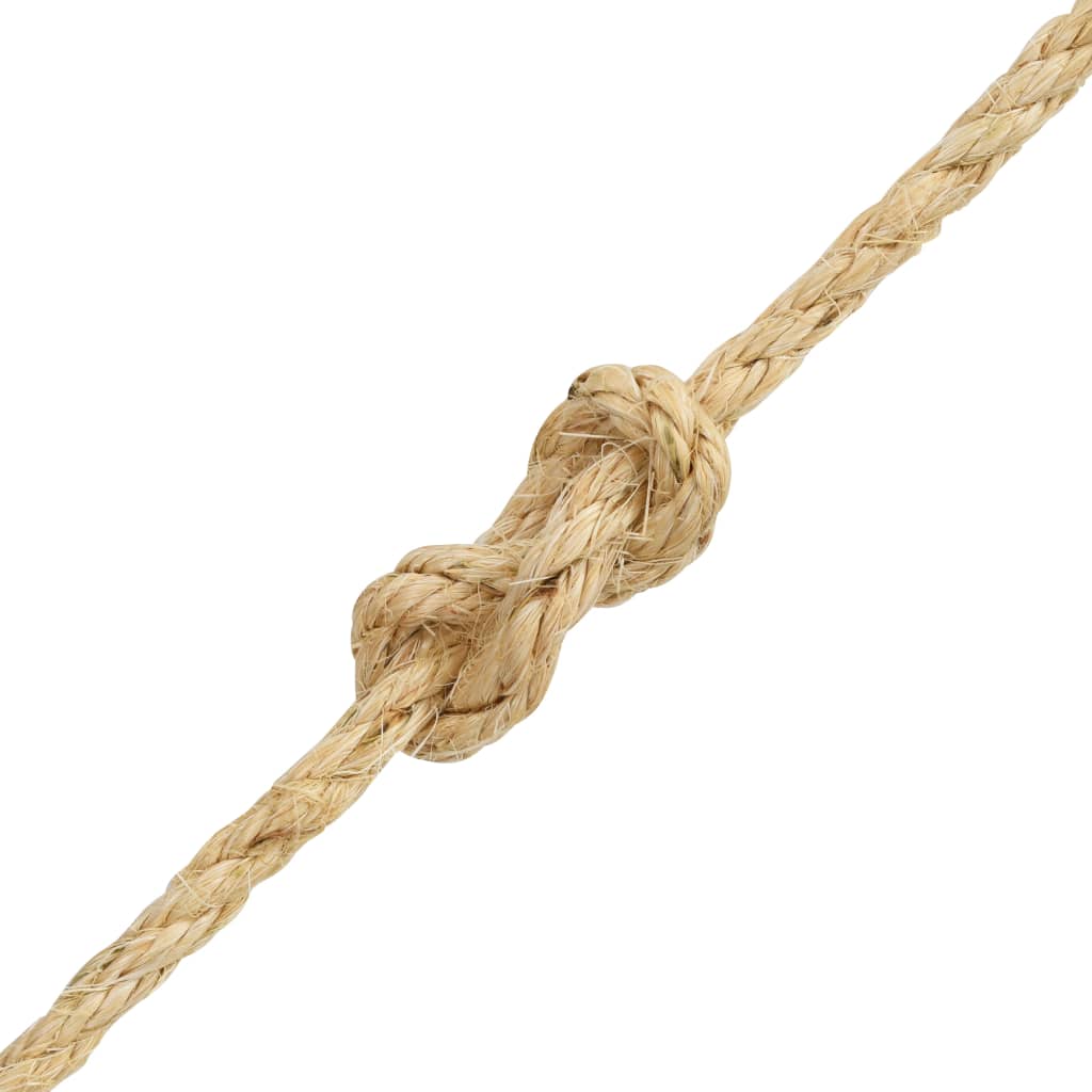 VidaXL Touw 10 mm 100 m 100% sisal