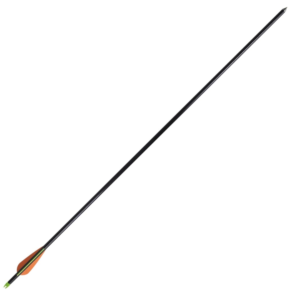 VidaXL Pijlen compoundboog standaard 30 0,8 cm glasvezel 12 stuks