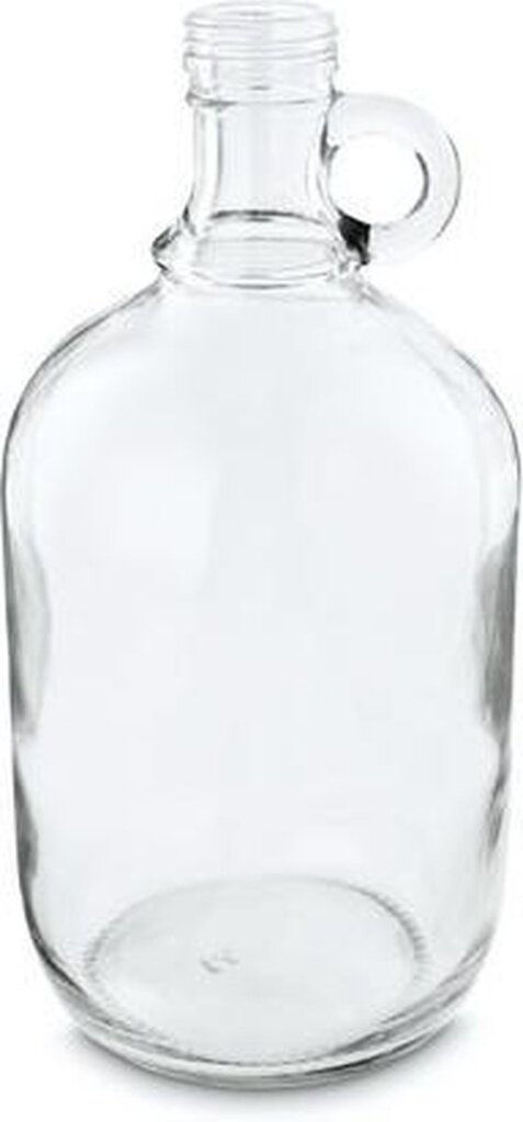 Diversen Vaas vtwonen fles 26,5 cm