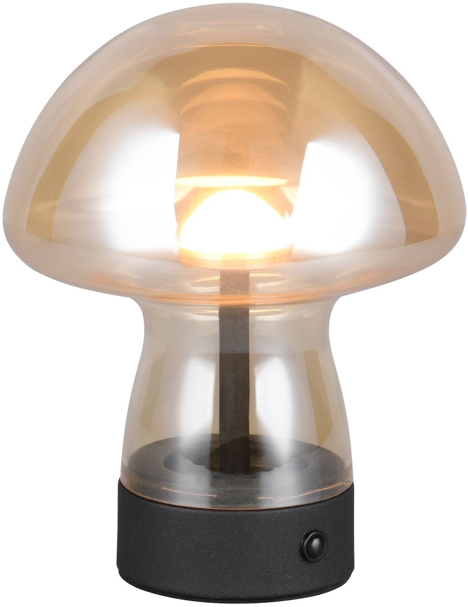RL LIVE YOUR LIGHT Reality dooley - tafellamp - amber - incl. 1x smd 1,5 w - 4-stappen touch - usb-aansluiting - oplaadbaar - snoerloos