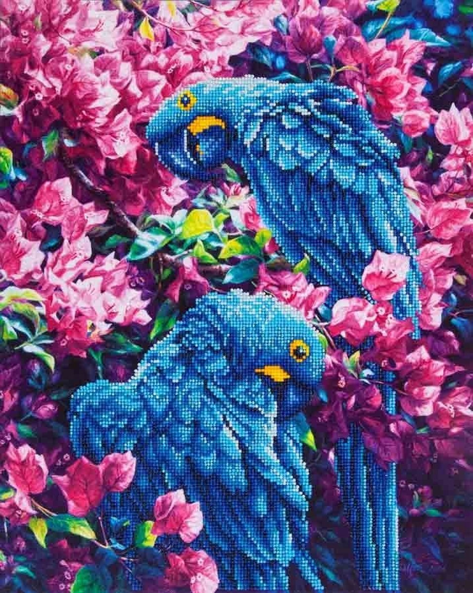DIAMOND DOTZ® Diamond dotz blauwe papegaaien - diamond painting - 8.982 dotz - 52x42 cm