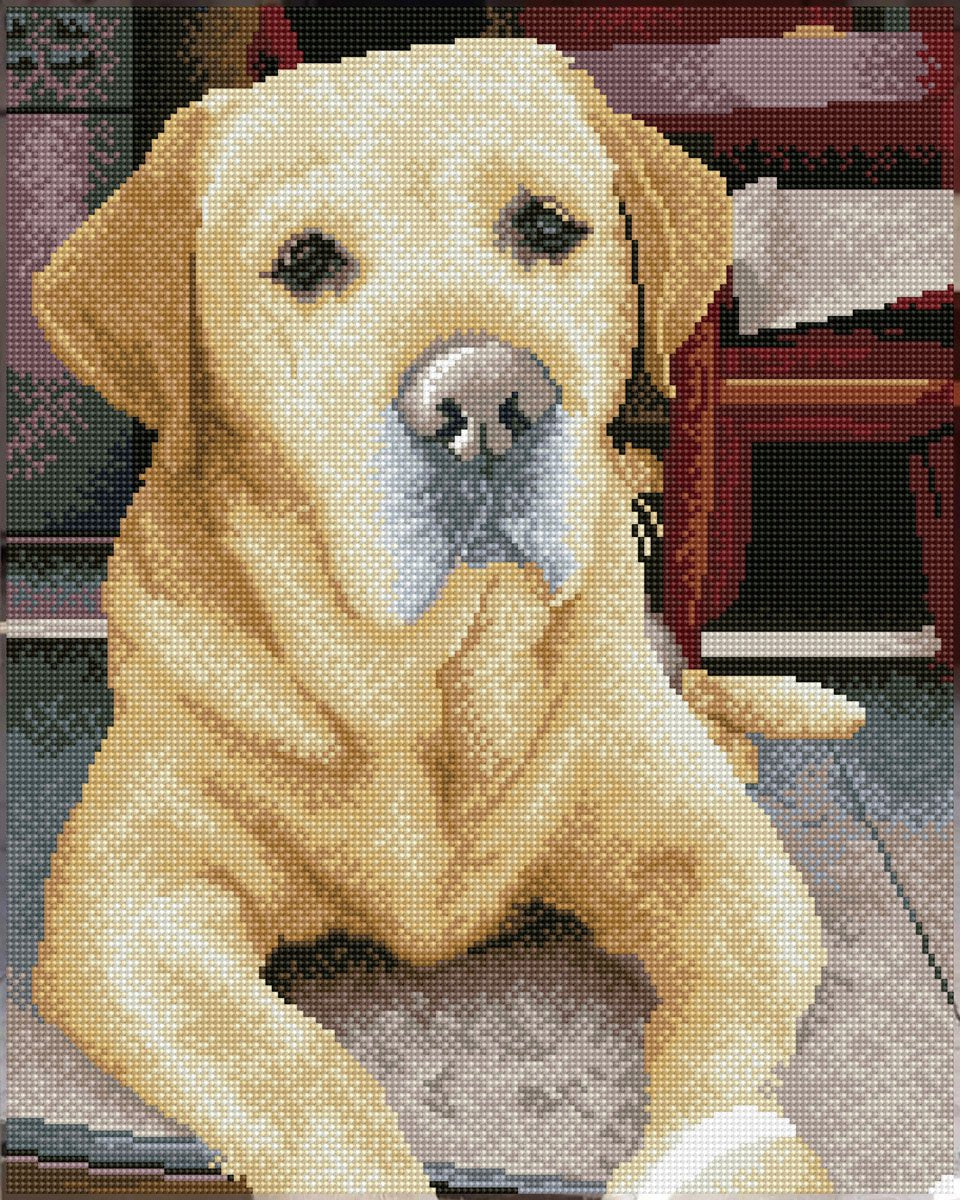 DIAMOND DOTZ® Diamant painting - labrador - 48x58cm - squares