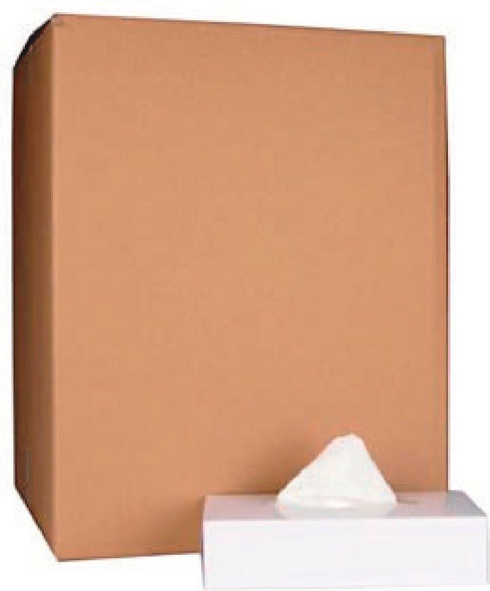 Merkloos Sans Marque Papieren zakdoek, 2-laags, 100 tissues per doos, pak van 40 doosjes