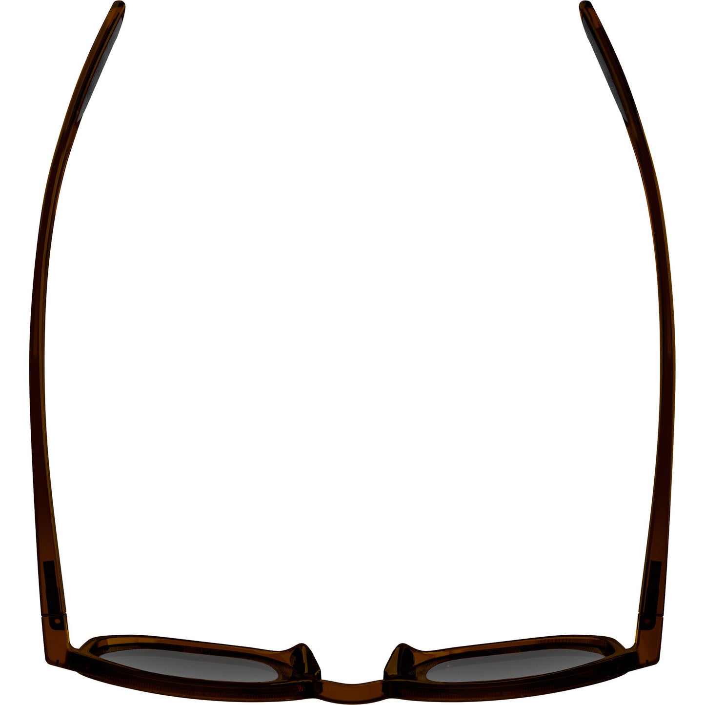 Olympic Sportswear Alpina sports lifestyle bril dimont bruine lens bruin