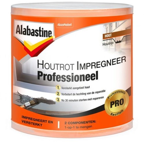 Alabastine houtrotvuller professioneel - 5314833