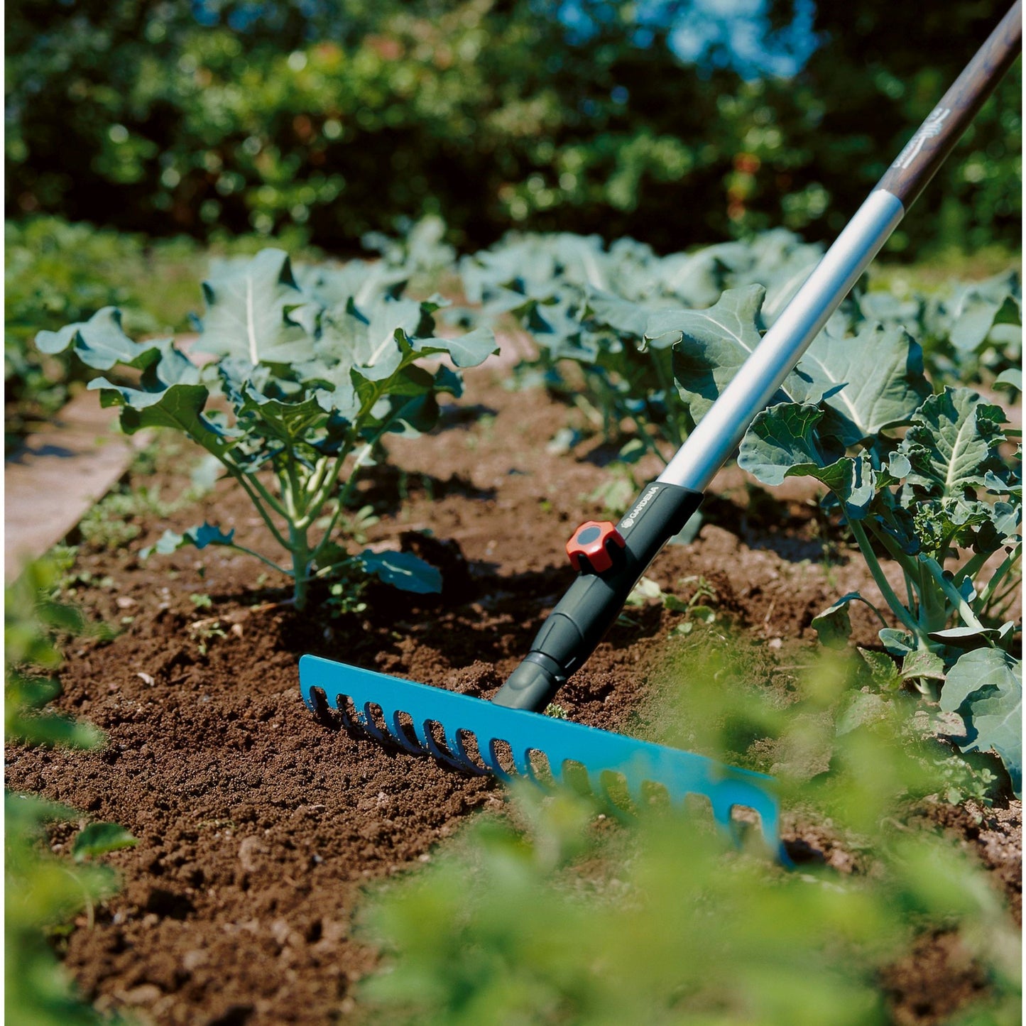 GARDENA combisystem hark (turquoise, 3178-20)