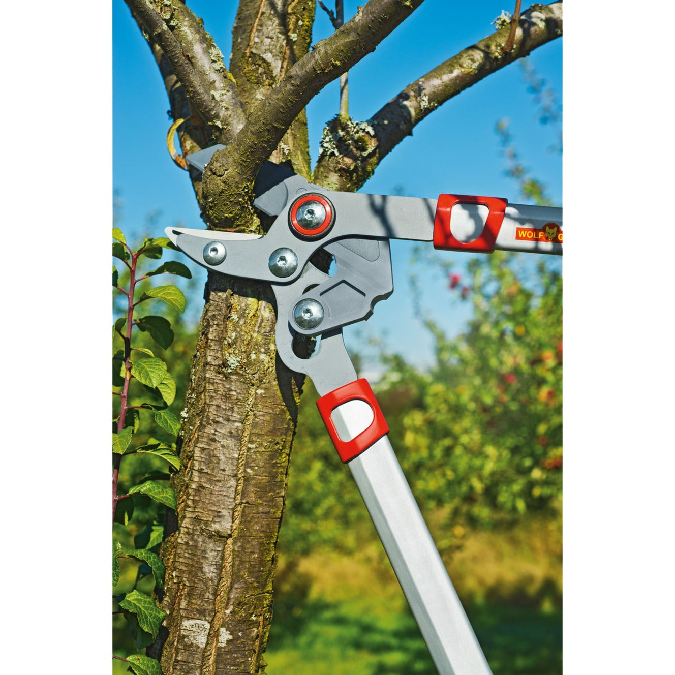 WOLF-Garten takkenschaar basic plus power cut* rs 650 (rood geel)