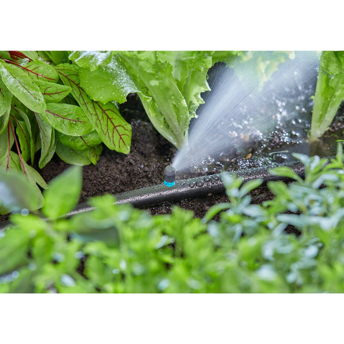 GARDENA micro strook sprinkler uiteinde (zwart turquoise, 5 stuks)