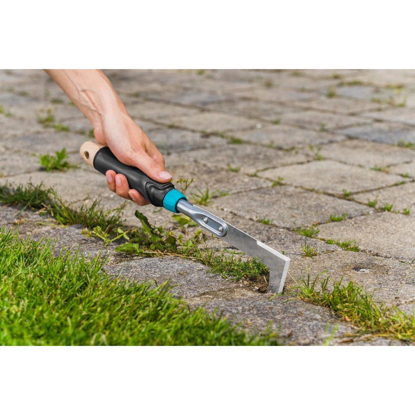 GARDENA ecoline onkruidsteker voor de patio voegenkrabber (zwart turquoise, 17704-20)
