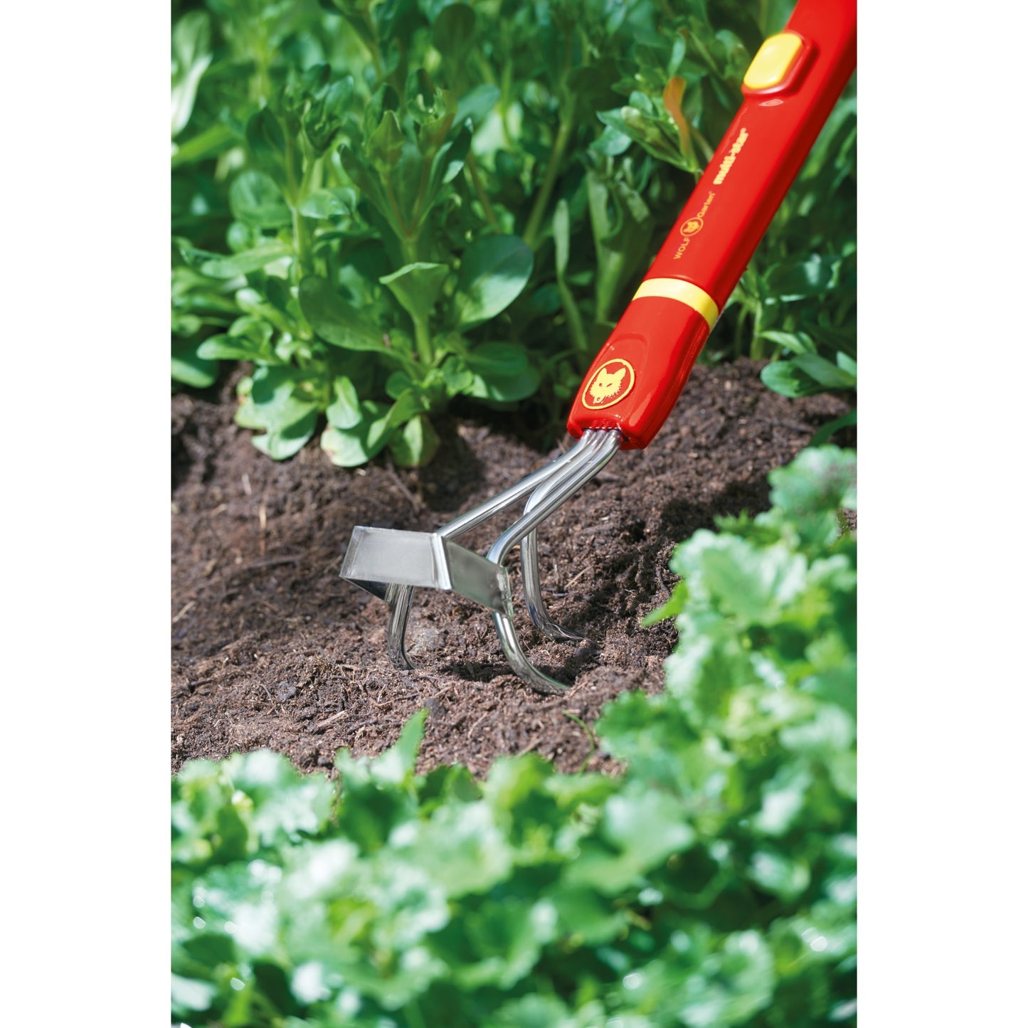 WOLF-Garten lb-m onkruidwieder, multi-star handkrabber (rood geel, 7 cm)