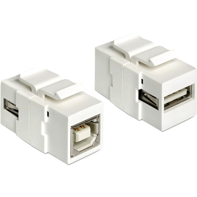 DeLOCK keystone module usb 2.0 a naar usb 2.0 b aansluiting (voor keystone houders met 19,2x14,9 mm)