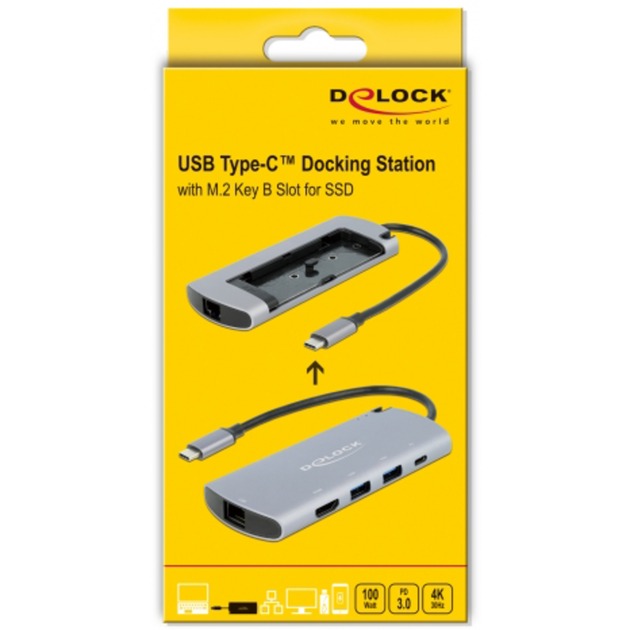 DeLOCK usb type-c docking station met m.2 slot (grijs)
