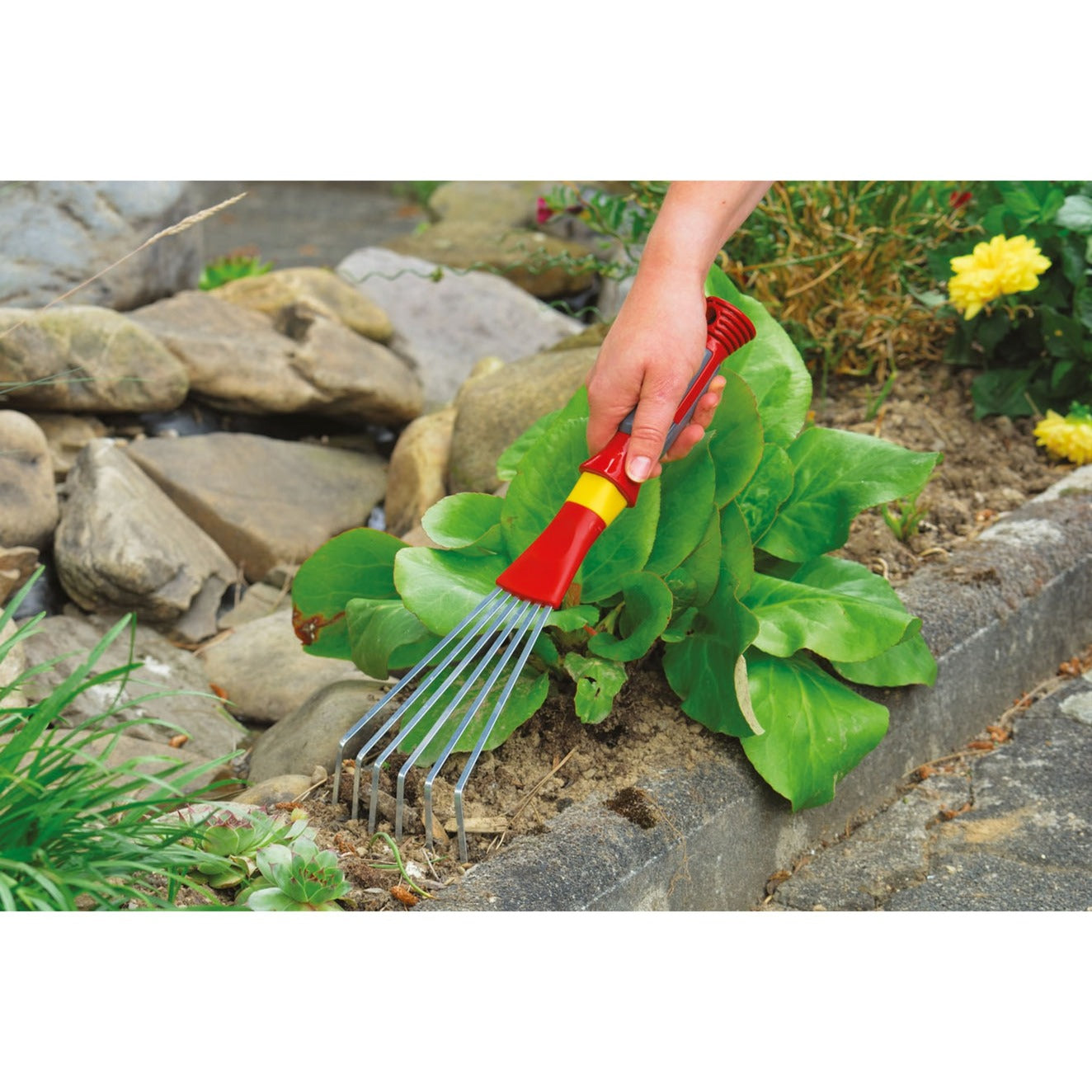 WOLF-Garten ld-2k bladharkje handhark (rood geel)