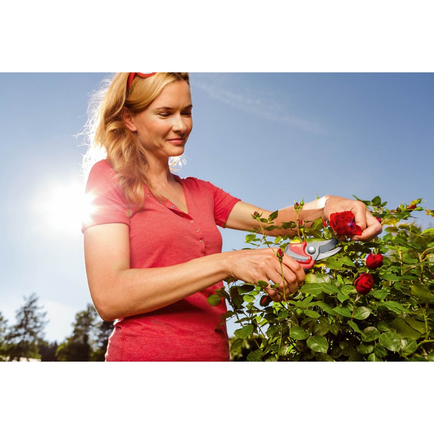 WOLF-Garten rr 4000 snoeischaar premium plus (rood geel)