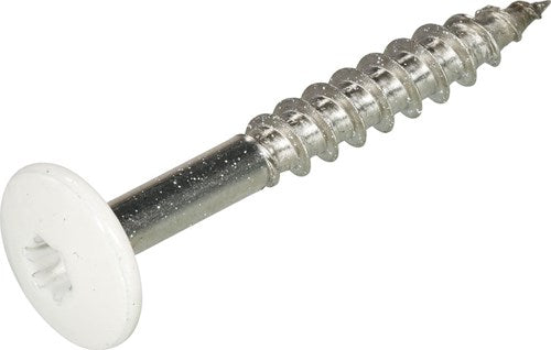 Hoenderdaal Fasteners Hoenderdaal hpl schroef rvs-a2 torx tx20 zuiver wit ral9010 4.8x25 | 100 stuks - 0346.30.37124