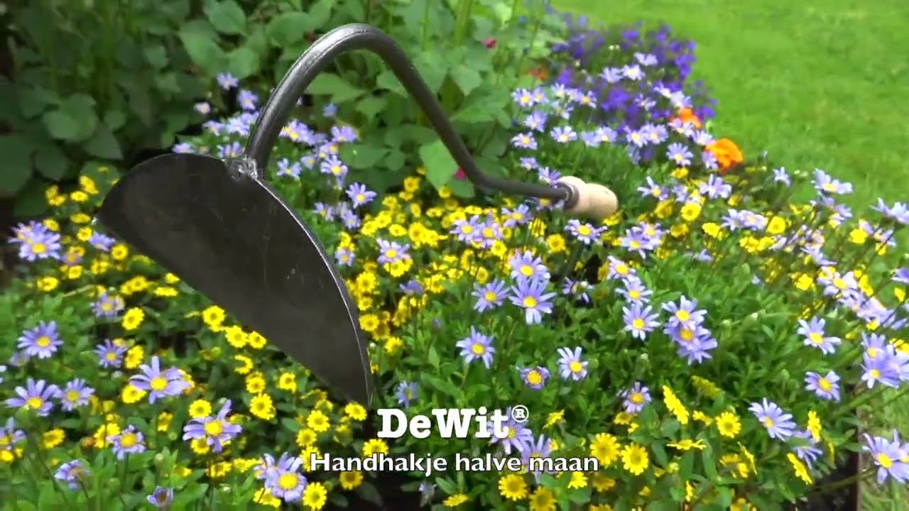 De Wit Producten handhak halve maan gesmeed 14cm essen handvat 14cm stardewitstar