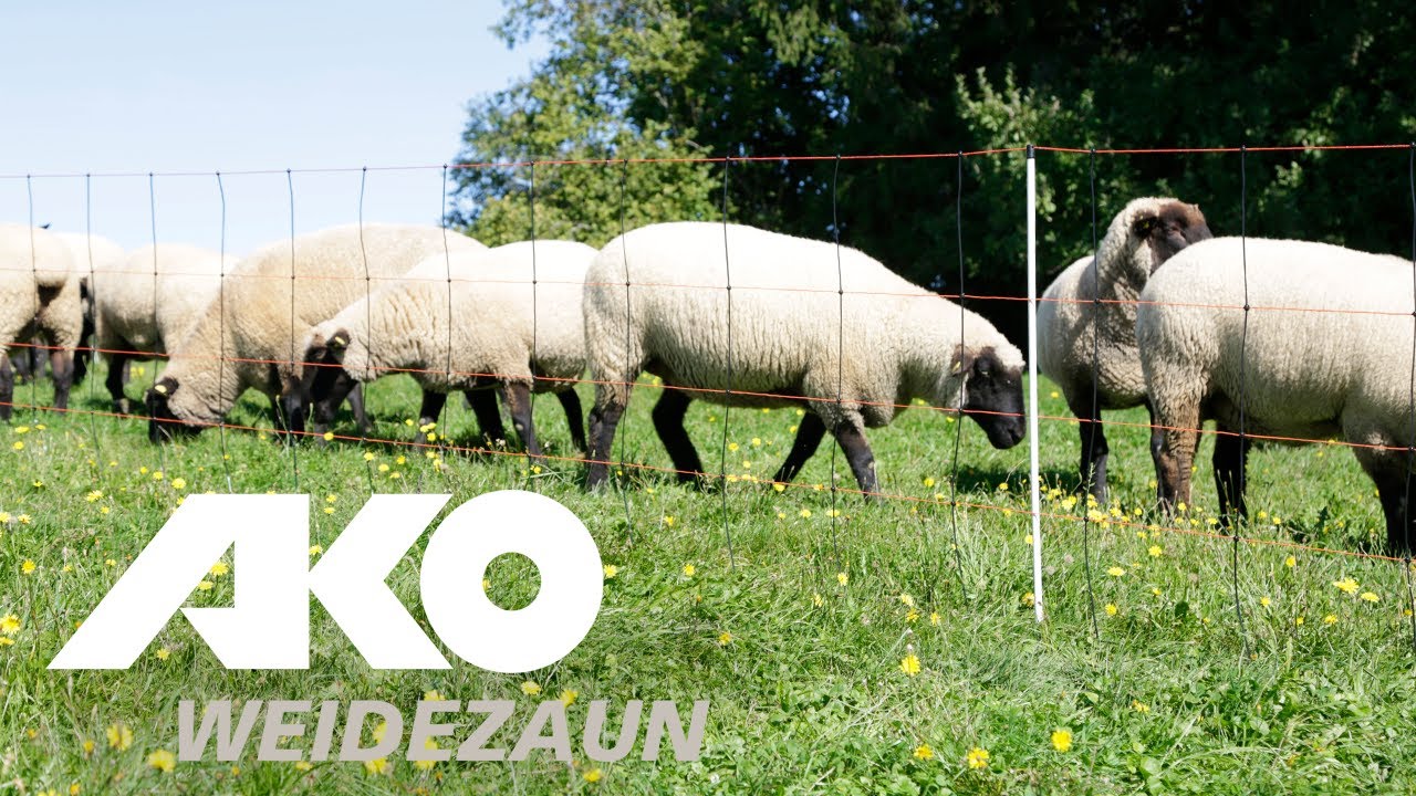 AKO Producten schapennet titanlicht oranjezw 108cmx50m enkele pen