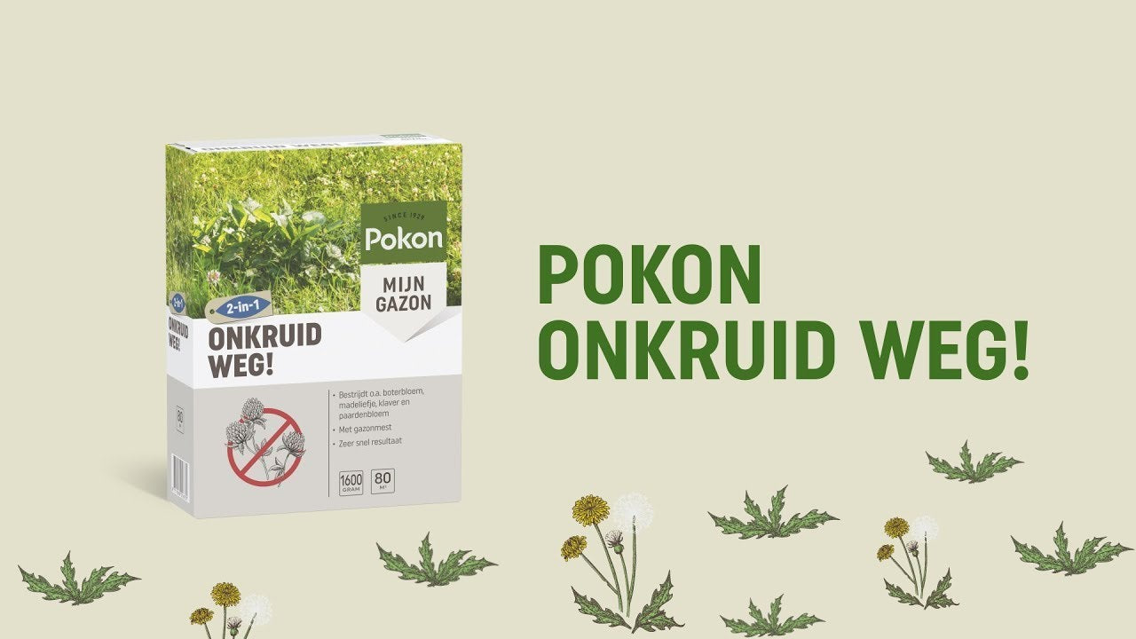 Pokon Producten onkruid weg 120 m2 2400 gr