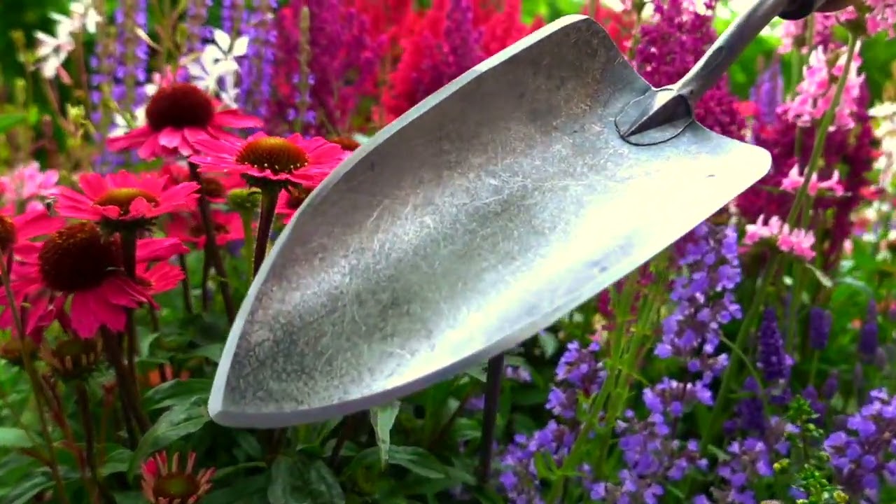 De Wit Producten plantenschepje x treme essenhandvat 14cm stardewitstar