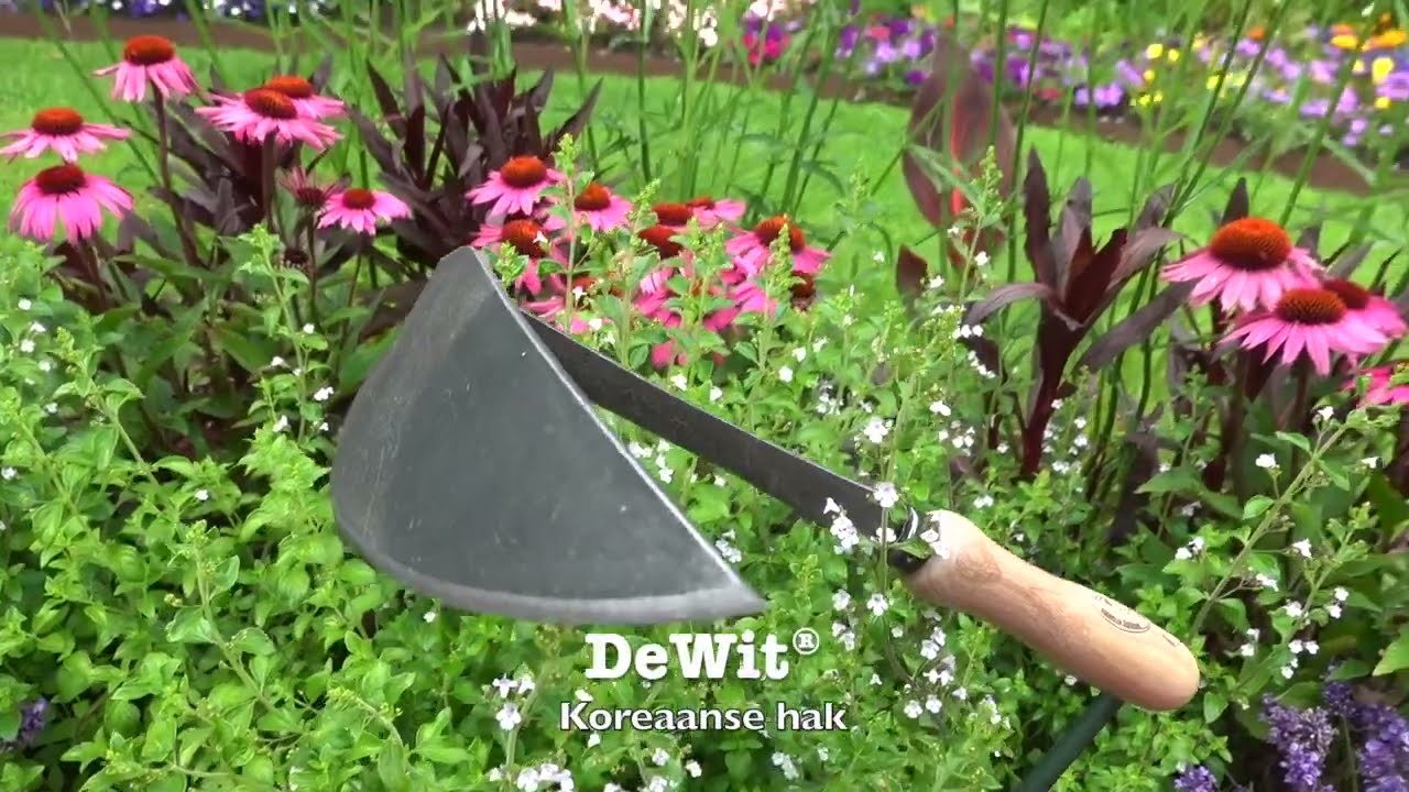 De Wit Producten koreaanse handhak rechts essen handvat 140mm stardewitstar