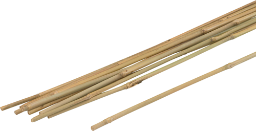 Meister plantenstok bamboe 150cm (10st) - wu9966420
