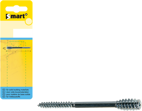 Pgb-Europe smart | afstandschroef t-drive ø 6,00x100 zn | 6 st sm0ssc001060100h