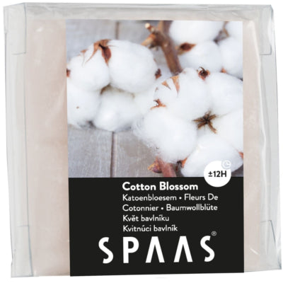 Spaas (r) waxmelts cotton blossom 6,5 cm | 24 stuks