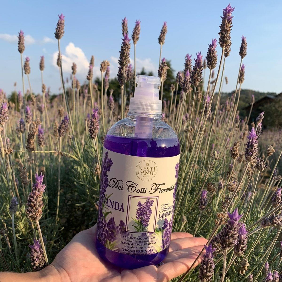 Nesti Dante fiorentini lavanda zeeppomp 500ml