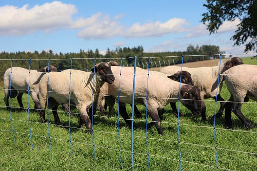 AKO Producten schapennettitan premium plus 90 cm x 50m dubbel pen