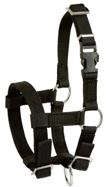 Producten alpaca halster zwart