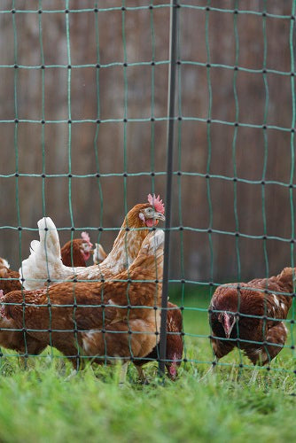 AKO Producten poultrynet premium wel elektrificeerbaar 50m