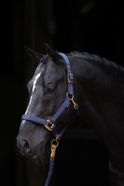 Abi Producten topline halster blauw 2 cob