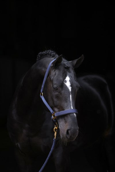 Abi Producten topline halster blauw 2 extra full