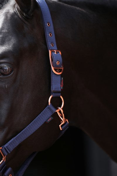 Abi Producten classy halster veulenshetland marine