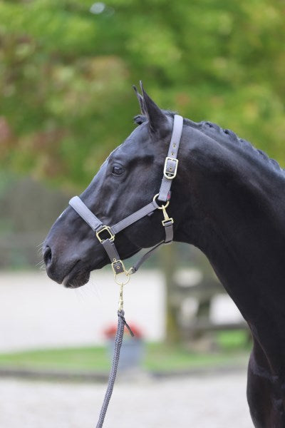 Abi Producten classy halster veulenshetland grijs