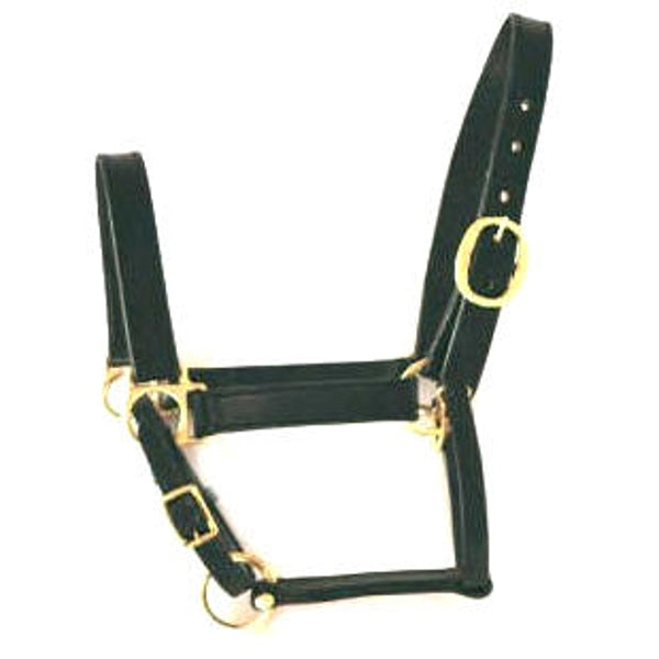 Producten halster leer zwart pony