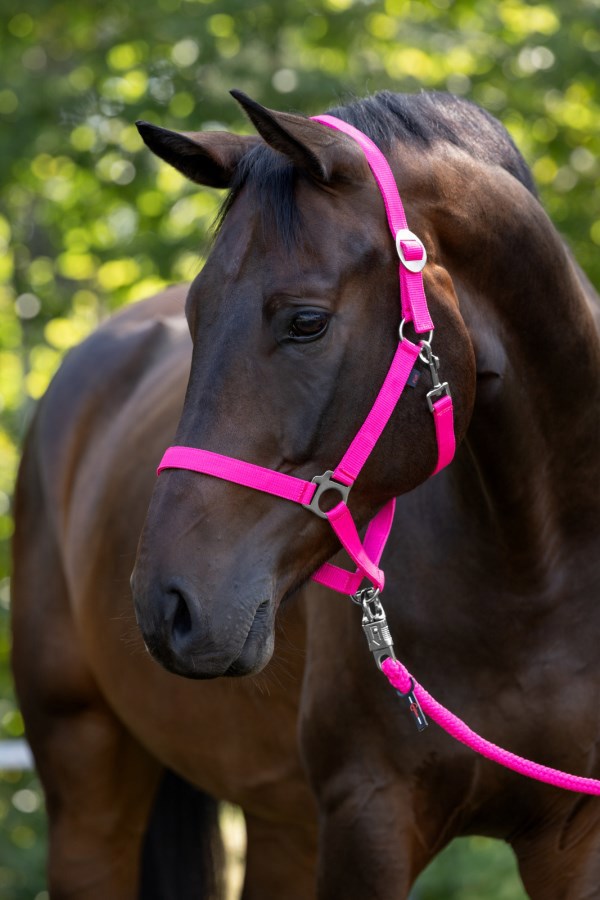 Abi Producten hippo halster roze 0 shetland
