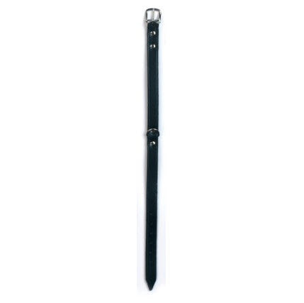 Producten hondenhalsband leer 20mm zwart