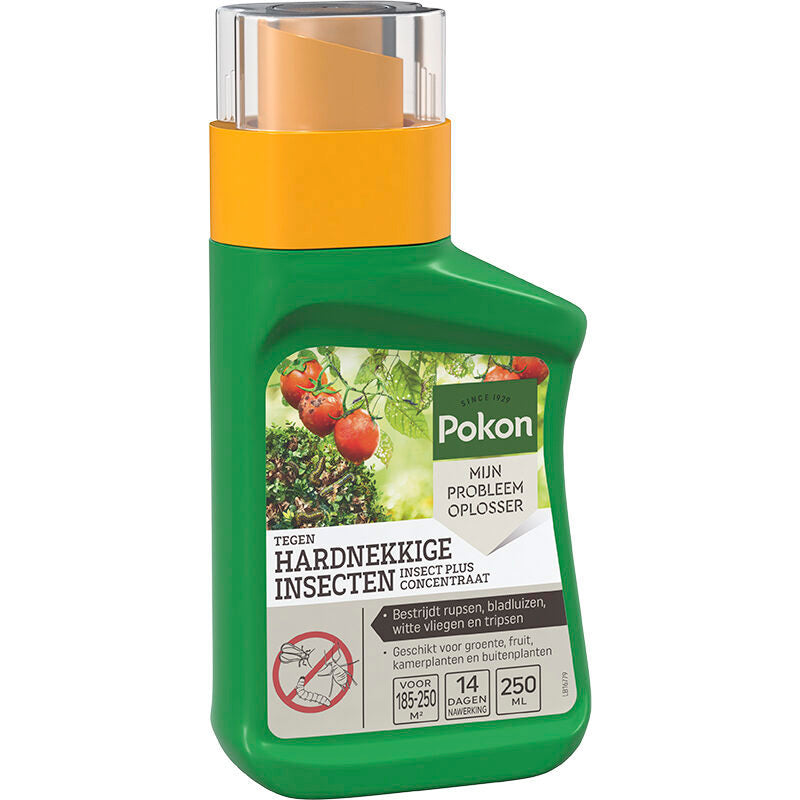 KB Bestrijding Producten pokon tegen insecten hardnekkige concentraat 250ml insect p