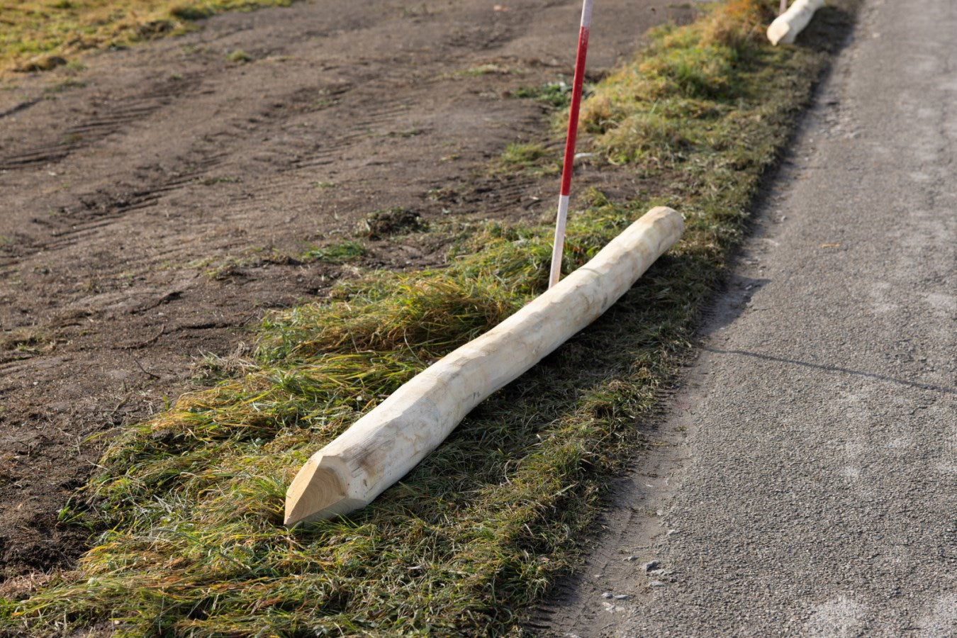 AKO Producten robiniapaal hoek 250cm hoog oe 14 16cm