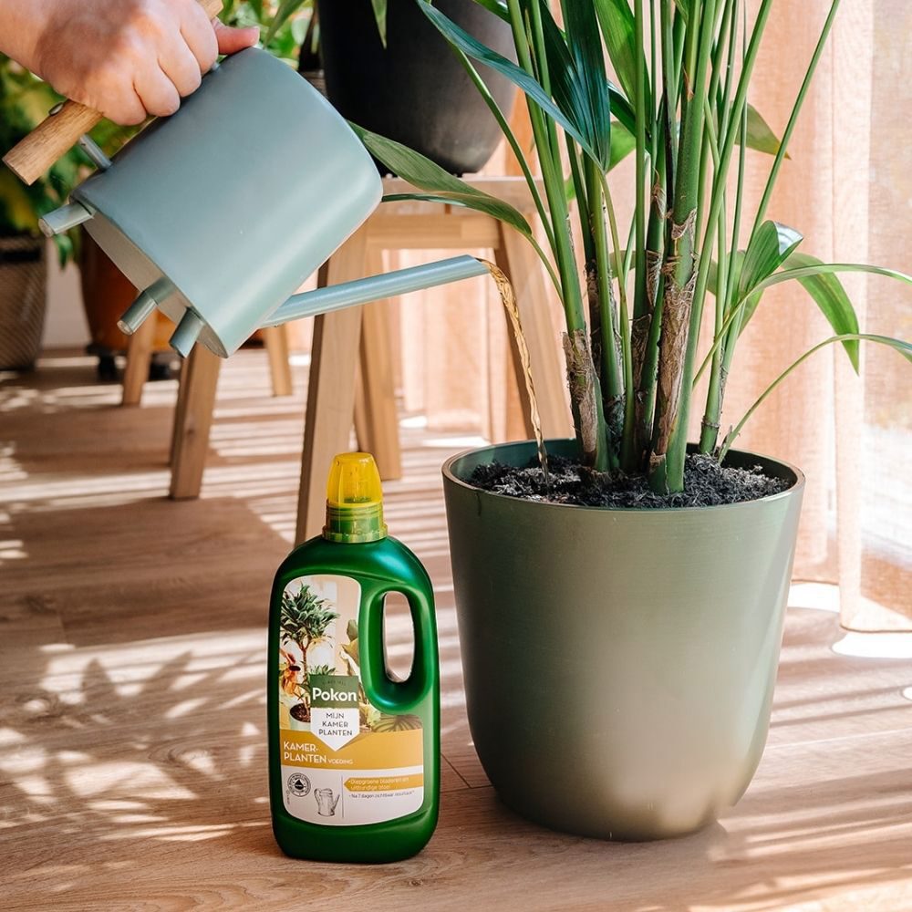 Pokon Producten kamerplanten voeding 1l