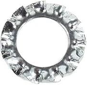 Fix-Nippel fächerscheibe serrated washer fix-nip. m6 zinc