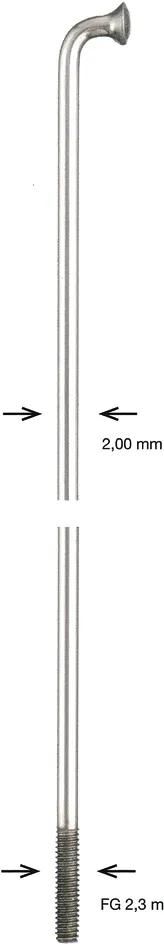 Alpina speiche spoke zinc 2x80 mm