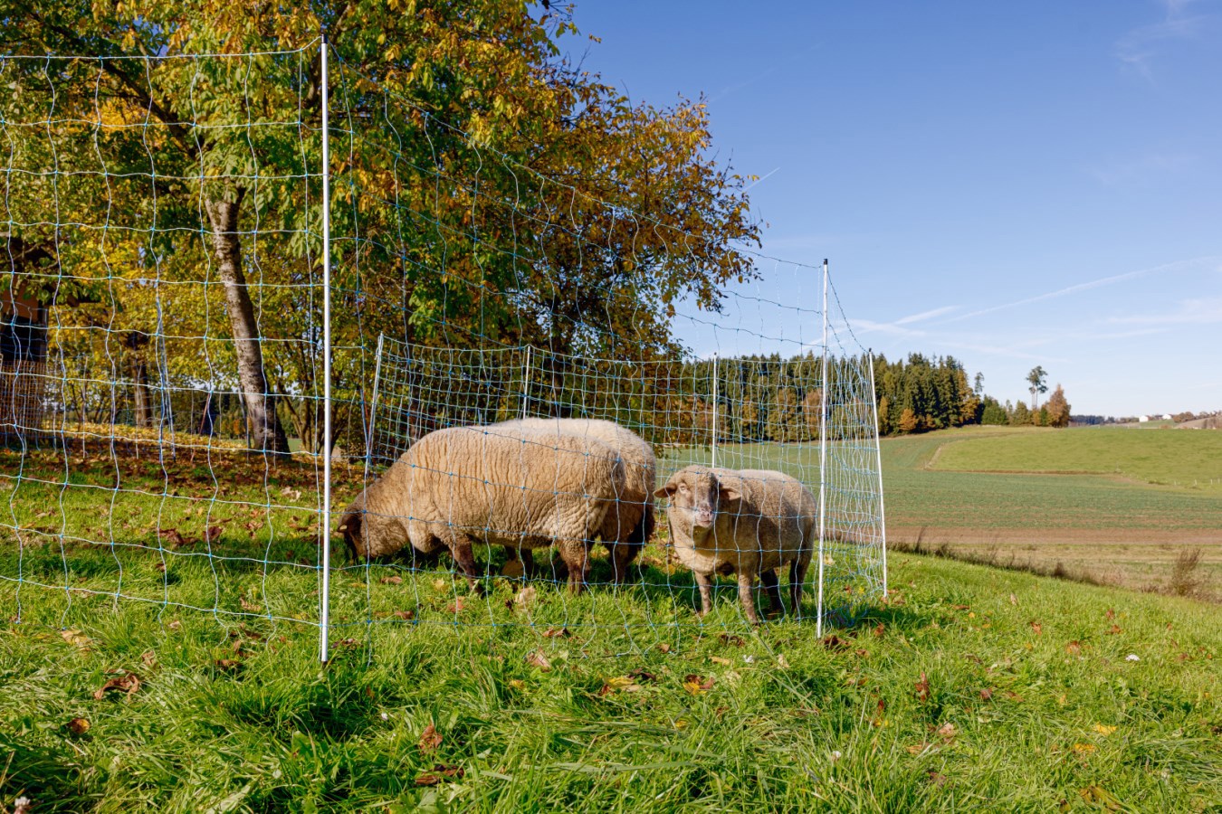 AKO Producten schapennet ovinet blauwwit 170cm x 25m dubbele pen