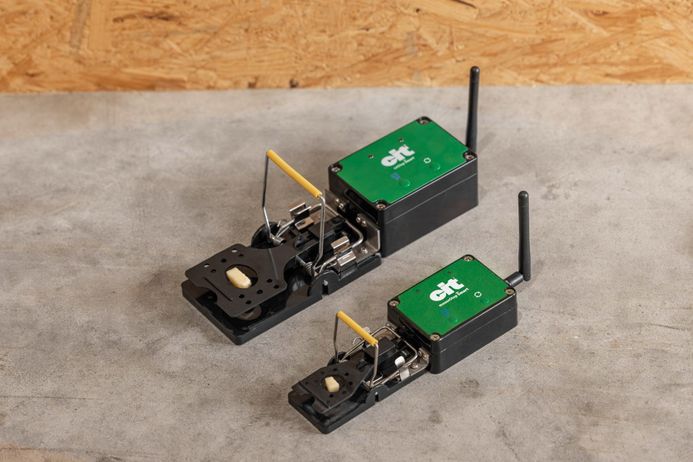 Producten rattenval smart cit ratstop