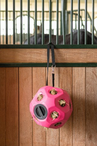 Producten voederspeel bal roze
