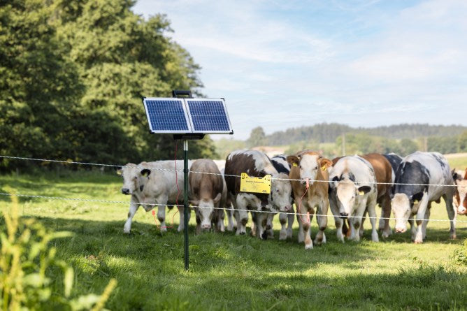 AKO Producten sun power s2400 schrikdraadapparaat smart plus zonnepaneel