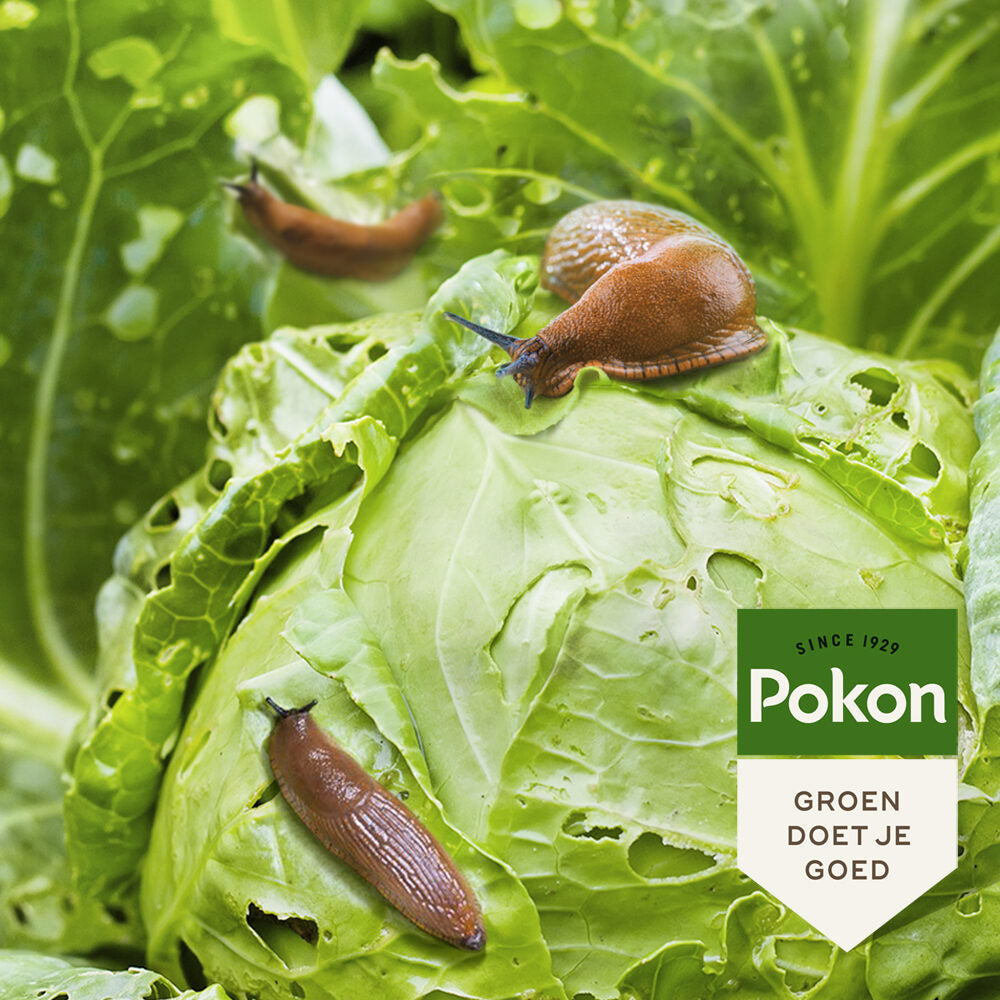 Pokon Producten bio tegen slakken korrels 450gr