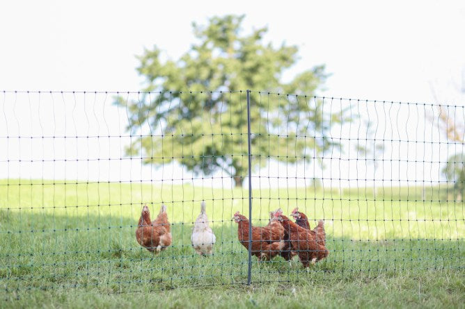 AKO Producten poultrynet premium niet elektrificeerbaar 50m enkele pen